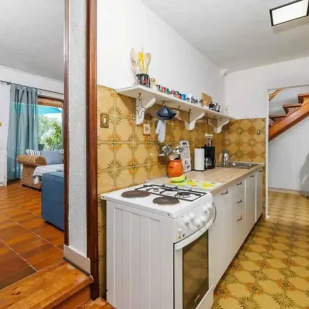 In - Insel Krk 39437 فيلة *